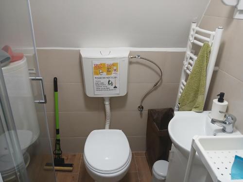 a small bathroom with a toilet and a sink at Vila SVITAC Banja Vrujci in Mionica