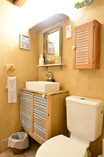 罗亚河畔布雷伊studio calme et lumineux的浴室里有马桶、洗手池和镜子。