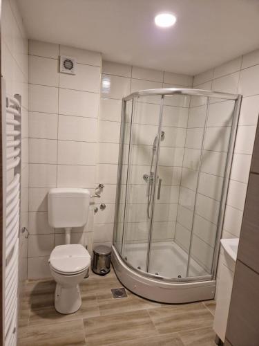 a bathroom with a shower and a toilet at Villa Merdan in Vlasic