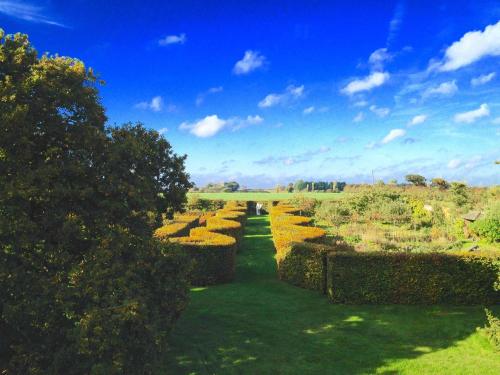 a row of hedges in a field with a blue sky at Swafield Hall in Swafield