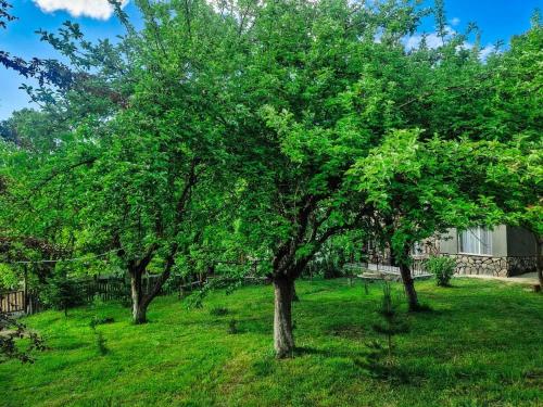 Zahrada ubytování Bacho's cottages Mzetamze - cozy mountain retreat