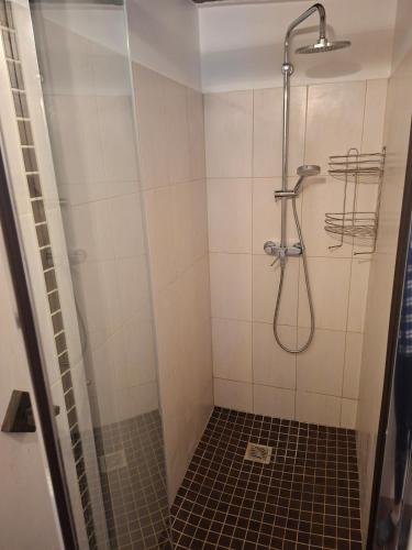 a bathroom with a shower with a glass door at Gîte de Fond Carle in Miribel-Lanchâtre