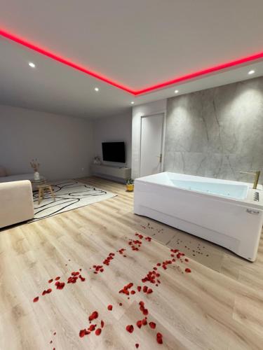 Televiisor ja/või meelelahutuskeskus majutusasutuses Élégant appartement avec Spa Jacuzzi