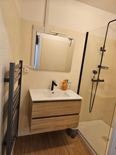 a bathroom with a sink and a shower at Gîte entre vigne et loire in Sancerre