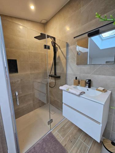 a bathroom with a shower with a white sink and a shower at Mon pinot bord de l'eau in Savigny-lès-Beaune