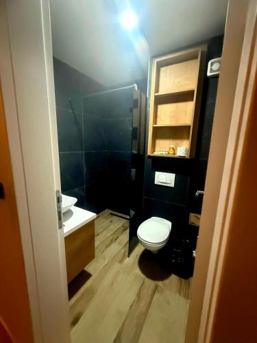 a bathroom with a white toilet and a sink at N-LUX 66 MILMARI kopaonik in Kopaonik