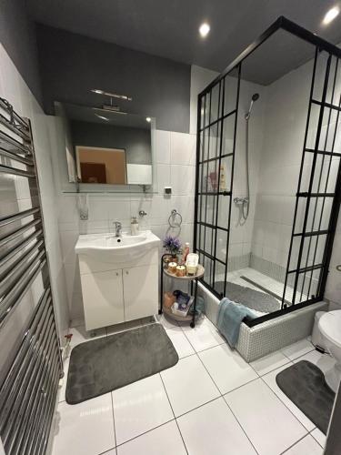 Un baño con lavabo y ducha en The Stag Ultracentral OldTown Apartment, en Brasov