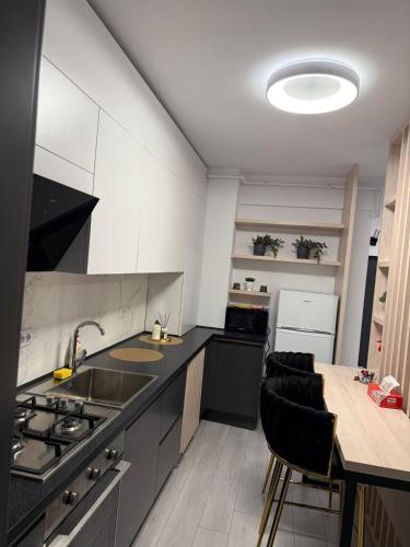 een keuken met een spoelbak en een aanrechtblad bij President 59 in Craiova