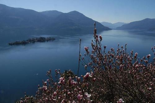Φυσικό τοπίο κοντά σε αυτό το διαμέρισμα
