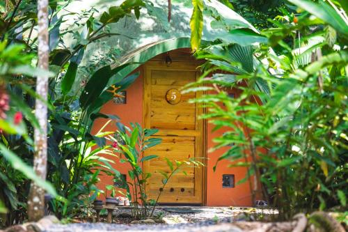 una porta di legno in mezzo a una foresta di Nowhere a Bocas del Toro