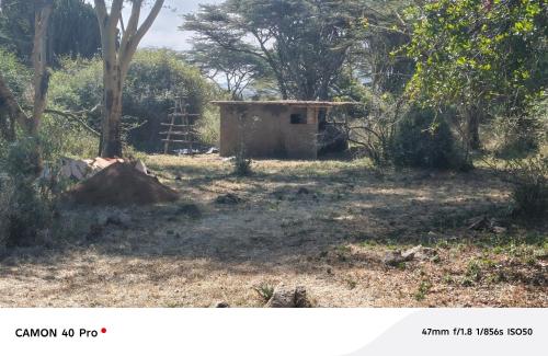 a small building in the middle of a field with trees at Majimoto Bushpig Camp in Narok