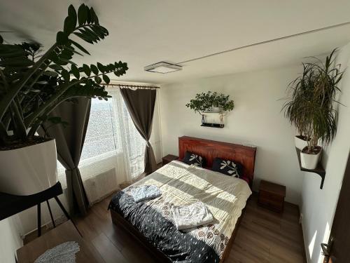 Postel nebo postele na pokoji v ubytování Private rooms, stunning city views, top-floor with balcony, bathtub, Internet, coffee