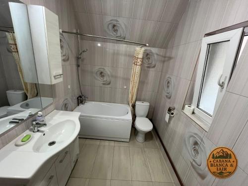 Koupelna v ubytování Cabana Bianca & Iair