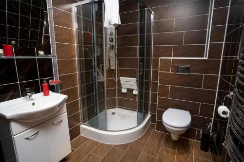 a bathroom with a shower and a toilet and a sink at Ski Lodge przy Gondoli - Szczyrk in Szczyrk