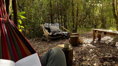 a person reading a book in a hammock in a forest at Ko Glamping in Valdivia