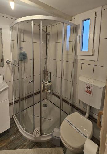 a bathroom with a shower and a toilet at Căsuța din poveste in Sohodol