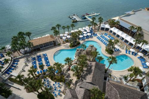 an aerial view of the pool at a resort at Clearwater Beach Marriott Resort on Sand Key in Clearwater Beach