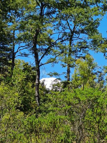 Paisagem natural perto da casa de férias