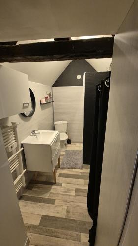 a bathroom with a white sink and a toilet at Charmante maison près des bords de la Loire in Beaufort-en-Vallée