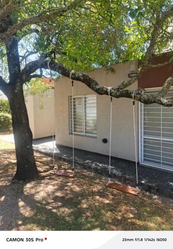 a tree with swings in front of a house at Amanecer serrano in Tanti
