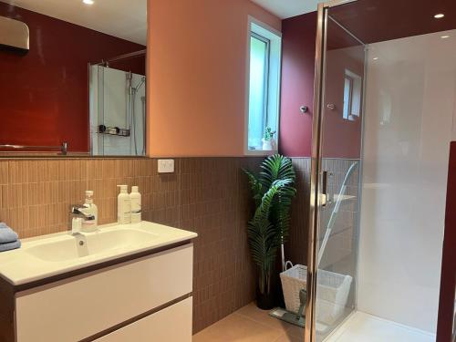 ein Badezimmer mit Waschbecken und Dusche in der Unterkunft El Gran - Quiet, Central & Scenic Apartment in Wanaka