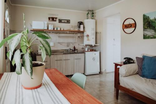 une cuisine et un salon avec une table et une plante dans l'établissement Casita del centro Esquel luz natural, wifi alto, ideal parejas, check in autónomo, à Esquel