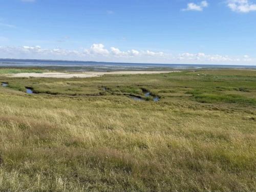 an open field with tall grass and a river at 5 person holiday home in Rømø in Toftum