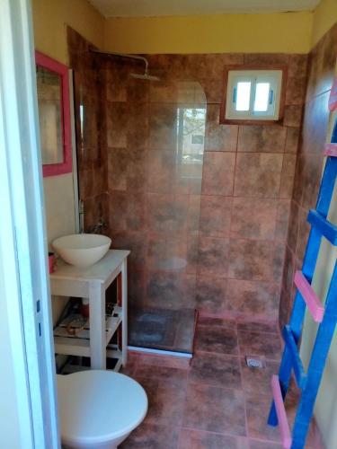 a bathroom with a shower with a sink and a toilet at La Delia monoambiente in Gualeguaychú