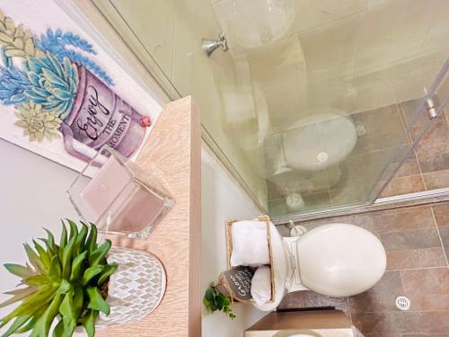 ein Badezimmer mit einem WC und einer Pflanze darin in der Unterkunft Hotel Casa Obed in Cartagena de Indias