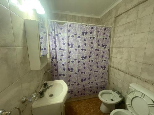 a bathroom with a toilet and a shower curtain at 2 Ambientes Gascon in Mar del Plata