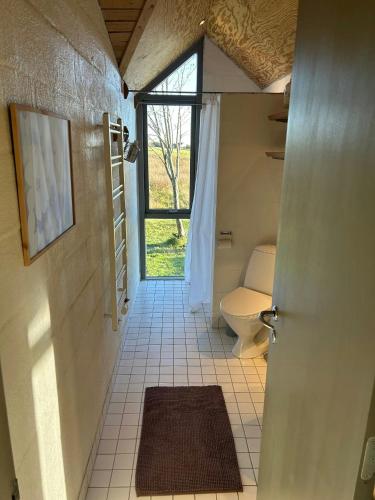 a bathroom with a toilet and a door with a window at Summer House With Fields And Fjord Views in Thyholm