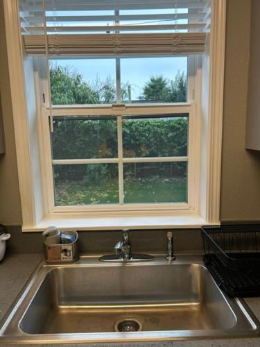 圣巴巴拉Goodland Green House的厨房水槽和上面的窗户