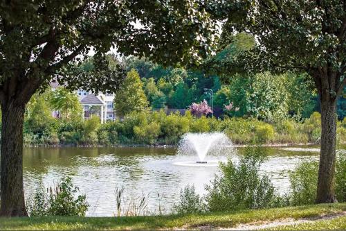 ein Brunnen in der Mitte eines Teiches in der Unterkunft A private master room in modern complex shared apartment in Lawrenceville 