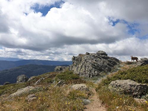 Φυσικό τοπίο κοντά σε αυτό το διαμέρισμα