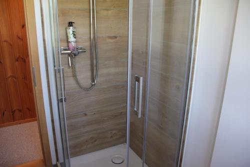 una ducha con puerta de cristal en un baño en Scheftenau, en Kappel