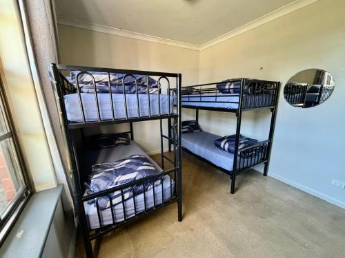 une chambre avec trois lits superposés dans une pièce dans l'établissement Barossa Backpackers, à Tanunda