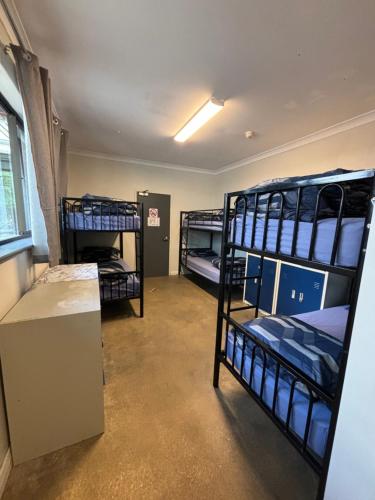 a room with three bunk beds in it at Barossa Backpackers in Tanunda