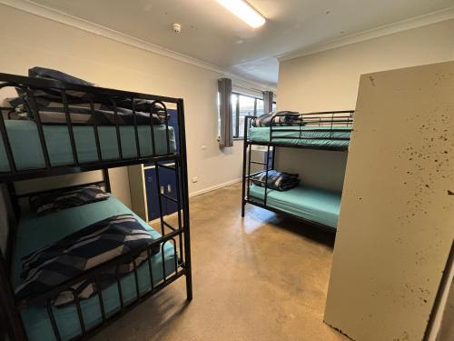 a room with three bunk beds and a window at Barossa Backpackers in Tanunda