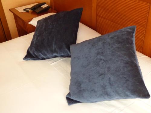 two pillows sitting on top of a bed at Eco Via Lusitana in Madrid