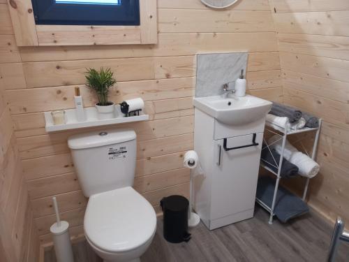 a bathroom with a white toilet and a sink at Mountain View in Tipperary