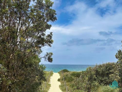 a path to the beach with trees and the ocean at Barefoot at Blacksmiths Beach in Blacksmiths