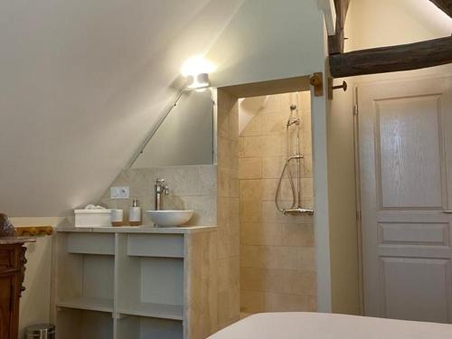 Koupelna v ubytování Gîte élégant avec jardin privé, vue sur château - FR-1-586-7