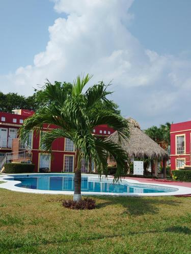 a palm tree in front of a building with a swimming pool at Bonaterra in El Jobo