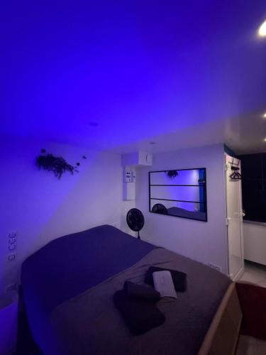 ein Schlafzimmer mit einem Bett mit einer violetten Decke in der Unterkunft Love 2 avec Jacuzzi in Cap d'Agde