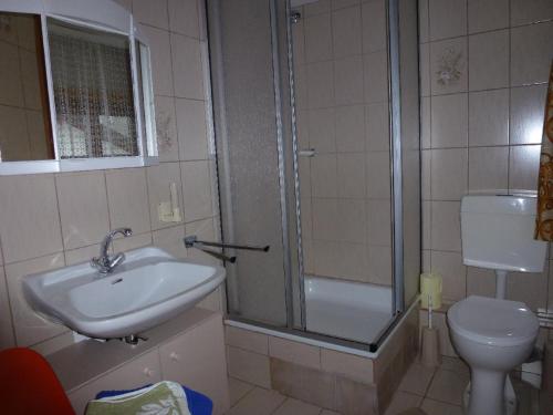 ein Bad mit einer Dusche, einem Waschbecken und einem WC in der Unterkunft Ferienwohnung Koch in Bayerisch Eisenstein
