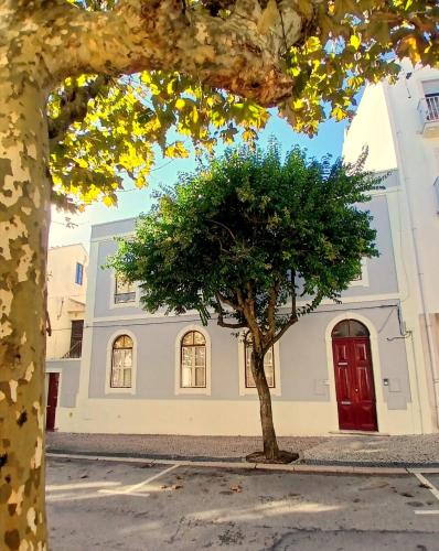 a tree in front of a building with a red door at Liberdade 75 Family Holiday House in Figueira da Foz