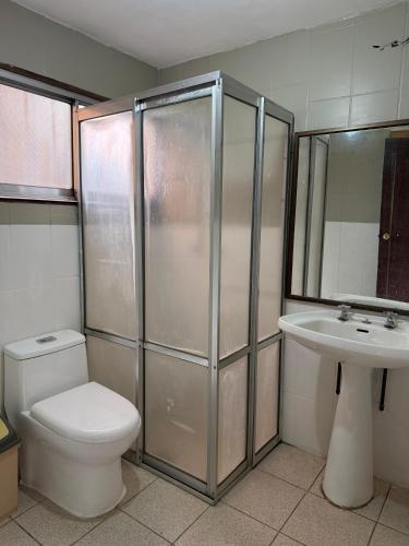 ein Badezimmer mit Dusche, Toilette und Waschbecken in der Unterkunft Casa el ensueño Lican Ray, a pasos de playa grande in Licán Ray