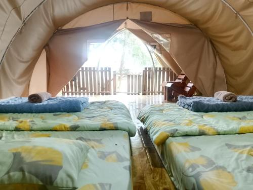 a group of three mattresses in a tent at Dieng glamping syari'ah in Dieng