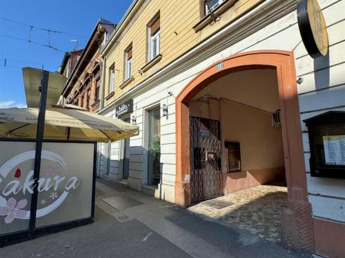 Like Zagreb - Downtown Apartment- Studio