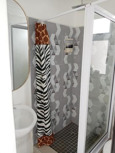 a bathroom with a shower and a sink and a mirror at M Group B&B in King Williamʼs Town